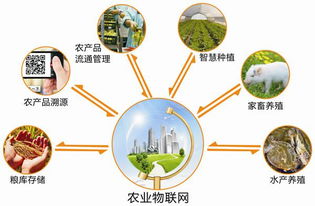 赋能智慧农业 中国国际农业物联网博览会的技术服务新趋势